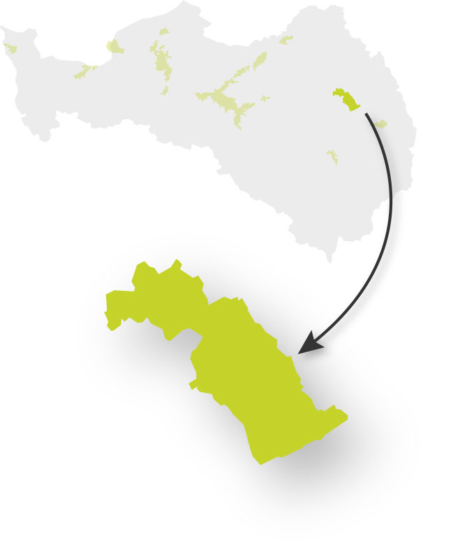 Prévention - TRI - Châlons