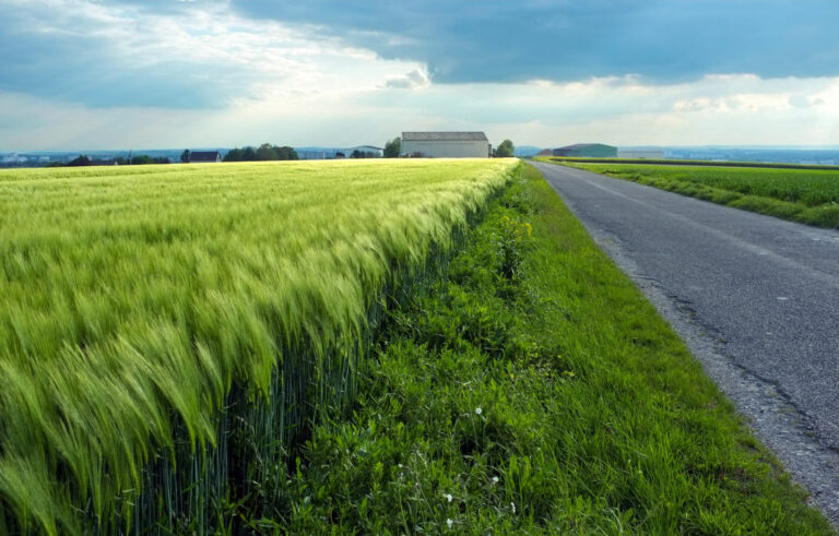 Projet de territoire